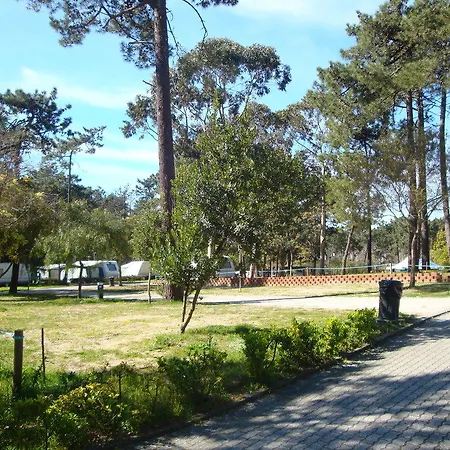 Camping Parque De Campismo Orbitur Caminha