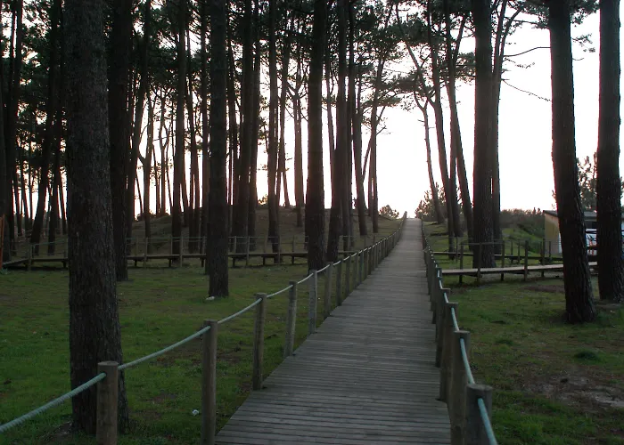 Parque De Campismo Orbitur Κάμπινγκ