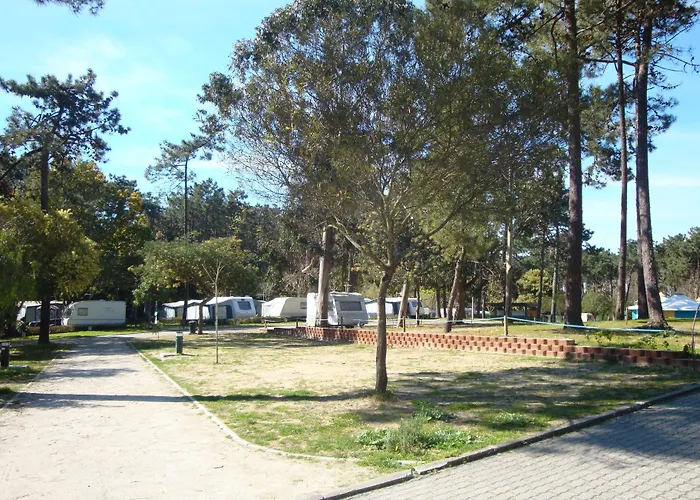 Parque De Campismo Orbitur Campsite Caminha